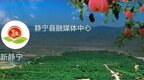 张永霞：寓宣传教育于管理服务之中 聚心聚力