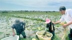 安庆：立体种养 富农兴村