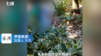 淮北一女孩带农药跑进丛林 退役军人发现后报警求助