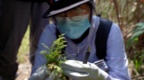 全球首次发现！鹰潭贵南深山再现新物种