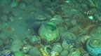 南海西北陆坡古代沉船遗址考古调查启动 一号沉船古瓷在景德镇有“同款”