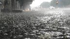 中央气象台发布暴雨蓝色预警