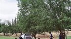 当露营成为时尚，这些周边产品也火了……