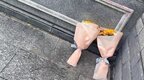 知情人辟谣“被撞小学生父亲坠楼”