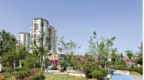 烟台芝罘区今年规划建设50处口袋公园，为市民打造城市绿色新空间