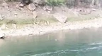 2名教师下河捡鹅卵石溺亡，当地通报