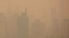 加拿大野火烧不尽，帝国大厦“消失”！纽约沦为全球空气污染最严重城市