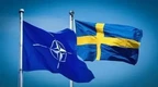 瑞典与土耳其将于6月中旬举行会议讨论瑞典“入约”事宜