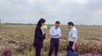 工行周口分行多措并举助力“三夏”生产