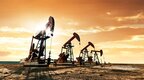 普京与沙特王储通电话，高度赞扬OPEC+的合作