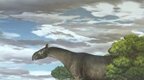 创下化石10项"世界之最" 甘肃这地3000万年经历了什么
