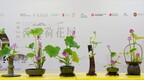 实拍香港荷花展六大器型插花，每一件都美到心坎里
