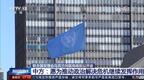 泽连斯基：将向安理会提交结束俄乌冲突的十点和平计划