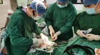 17位医生都没能确诊的病，ChatGPT做到了