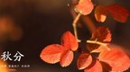 秋分时节