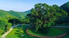 全国双百古树揭晓　“古槐王”“左公柳”领衔甘肃团