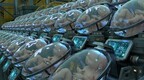 多国竞相开发“人造子宫”技术，1000万早产儿可受益