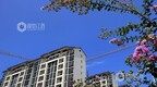 萍乡安源区富贵坳小区棚户区改造项目迟迟不动工 官方回复
