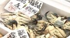 日本即将启动第二轮核污染水排海，排海导致日水产品出口严重滞销