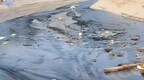 广东茂名一海滩附近有黑臭水体排入大海 当地部门介入调查