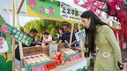 洛宁上戈苹果文化节推介会在洛邑古城举行