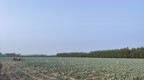地处省界地区力求“洼地崛起”：江苏丰县以产业促乡村振兴