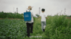 创意视频 | 又有《苗·材》《镜鉴》两部作品在“包公杯”微视频大赛中获奖啦！