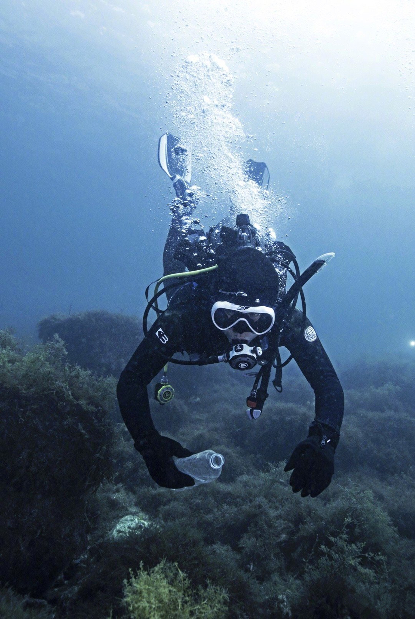 黄渤青岛扎猛子潜入海底清垃圾