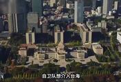 自卫队想介入台海？日本专家给出答案，一旦战了，将迎来生存危机