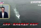 被解放军潜艇抵近侦察，外军巨舰浑然不知？若是实战，能击沉航母