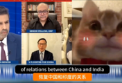 印专家叫嚣是中国需要印度，不是印度需要中国！高志凯回怼