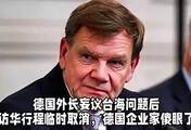 德国外长妄议台海问题后，访华行程临时取消，德国企业家傻眼了