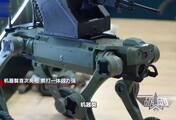 中国有了“机器獒”！军事专家：将使步兵作战模式发生根本改变