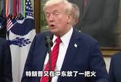 特朗普逼沙特“二选一”，可能把中东最大核项目推给中国