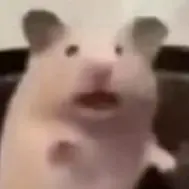 74bef93190cf66996667b6eff45d33c.png