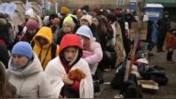 魏德尔：在德国的乌克兰公民应该返回自己的家园