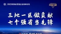 2023安徽省百强企业高峰论坛直播回放  
