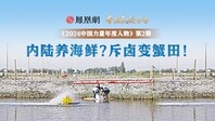 中国力量第2期｜内陆养海鲜？斥卤变蟹田！