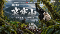 一山万境，万物共生，哀牢山的答案，比想象更惊人！