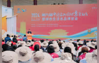 南京放出楼市政策“大礼包”：“买新房”、“卖旧换新”均可享购房补贴
