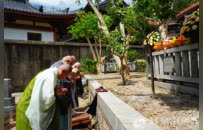共缅祖师恩！日本黄檗宗第十八次友好访中团回福建礼祖