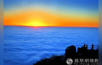 新年献词 | 2026，祈愿古老的菩提树向世界伸出新枝