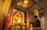 新年献词 | 2026，祈愿古老的菩提树向世界伸出新枝