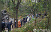 新年献词 | 2026，祈愿古老的菩提树向世界伸出新枝