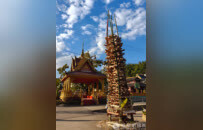 难得一见：云南临沧部分佛寺举行烧白柴活动，纪念佛陀涅槃日