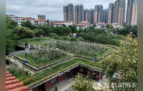 释本性：中国历代高僧从严治教事迹——清正廉洁