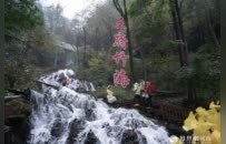 奔县游·来栾川｜竹海听泉、山水寻幽 王府竹海绘就金秋生态画卷