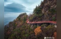 奔县游·来栾川｜金秋云海绘仙境 采风团登临老君山感受人文自然之美