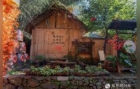 奔县游·来栾川｜感受重渡沟乡村自然气息，体验非遗农耕乐趣