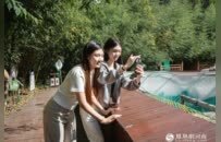奔县游·来栾川｜竹海萌兽趣无穷 采风团探秘竹海野生动物园